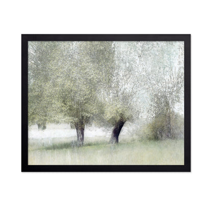 Soft Spring Trees