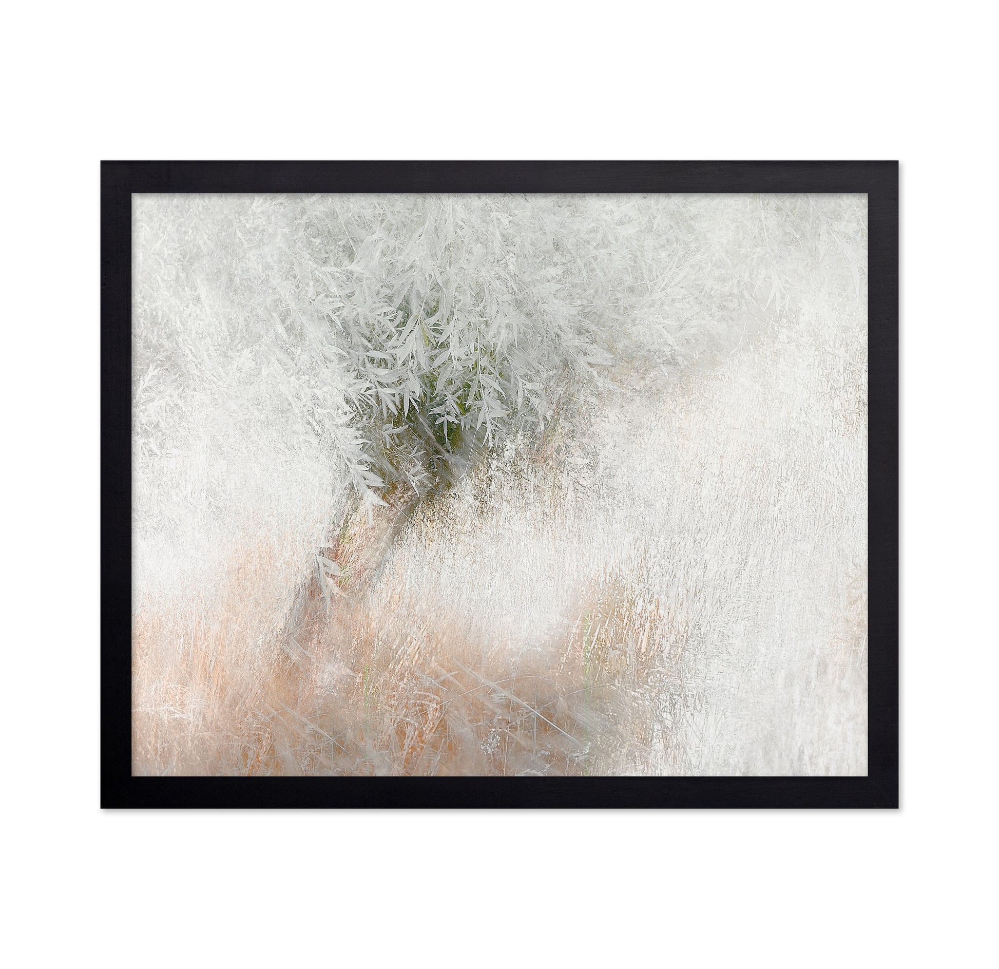Gentle Frosted Tree