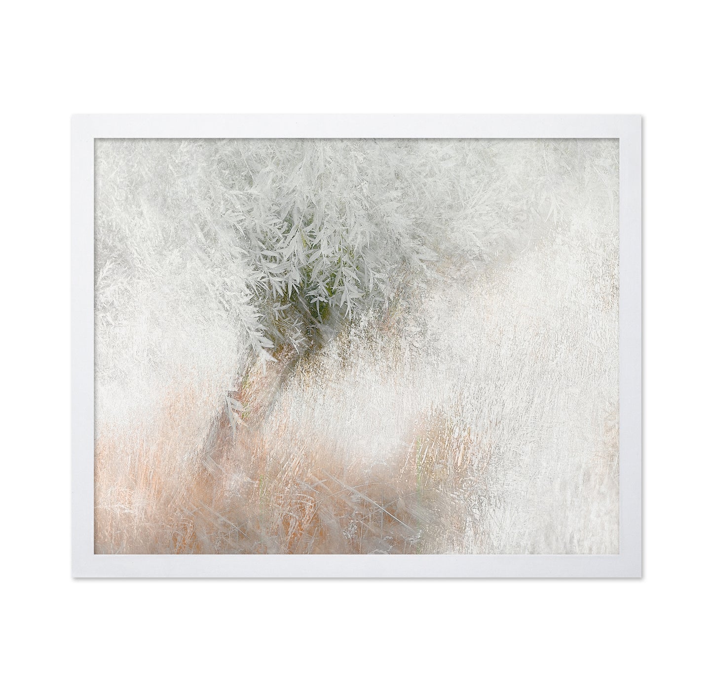 Gentle Frosted Tree