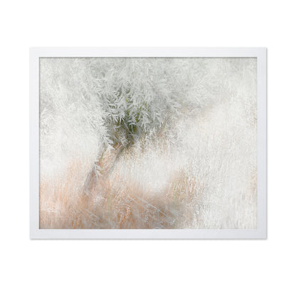 Gentle Frosted Tree