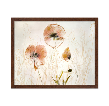 Soft Poppy Whisper