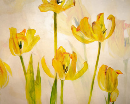 Golden Tulip Bloom