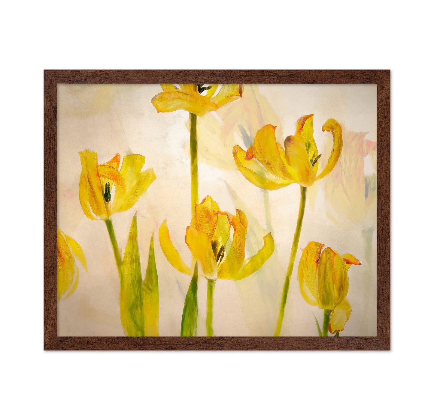 Golden Tulip Bloom