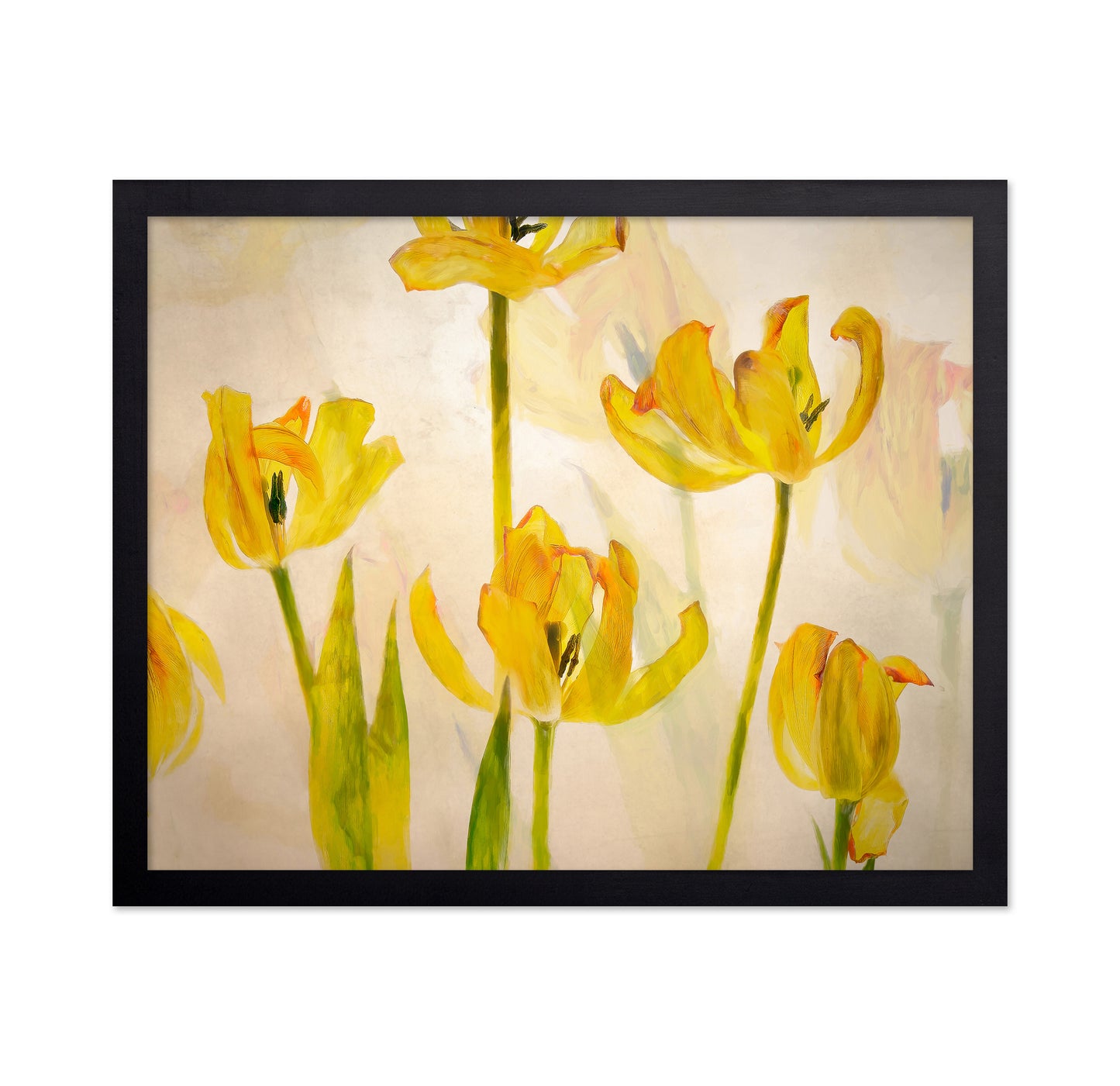 Golden Tulip Bloom