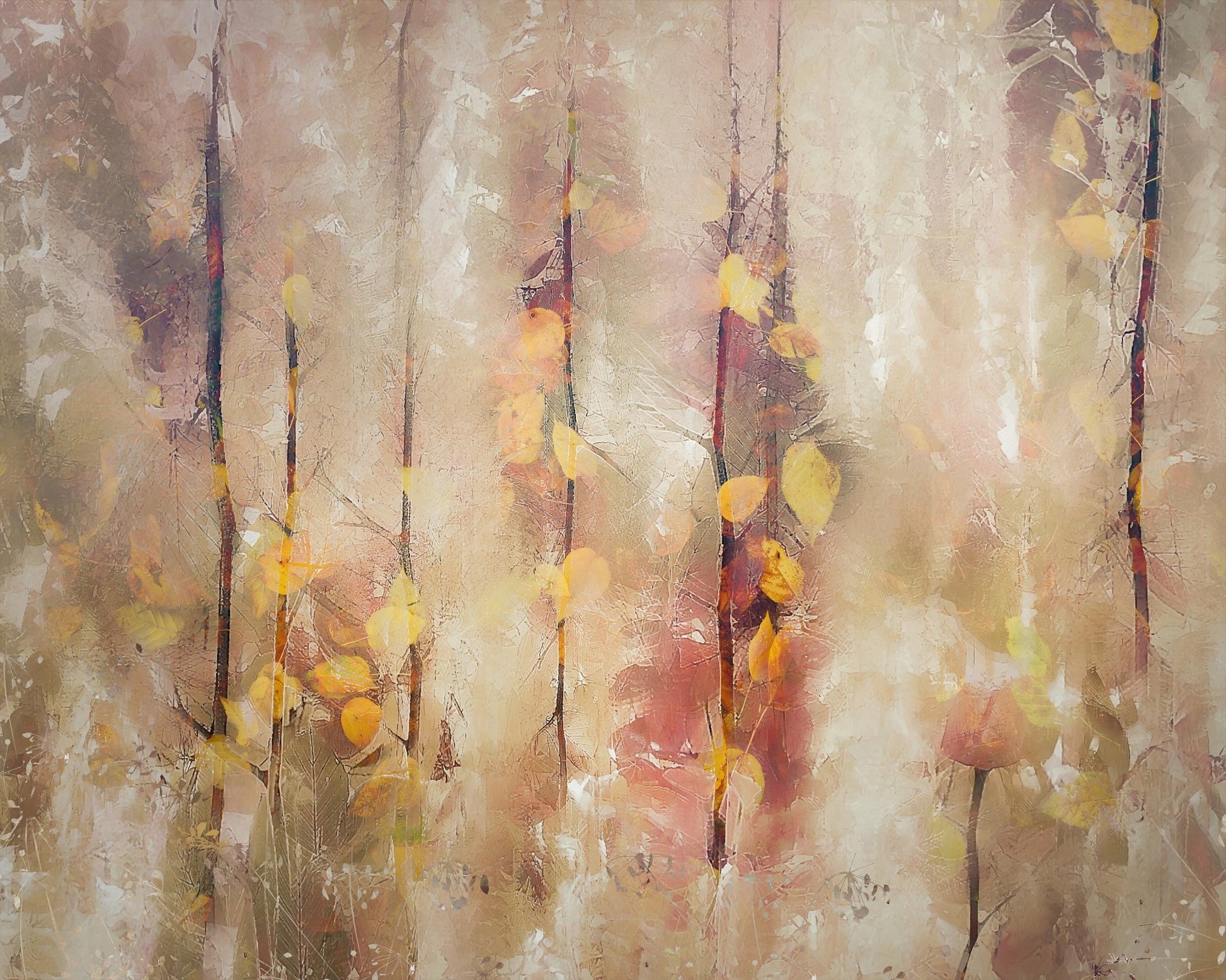 Autumn Dream Forest
