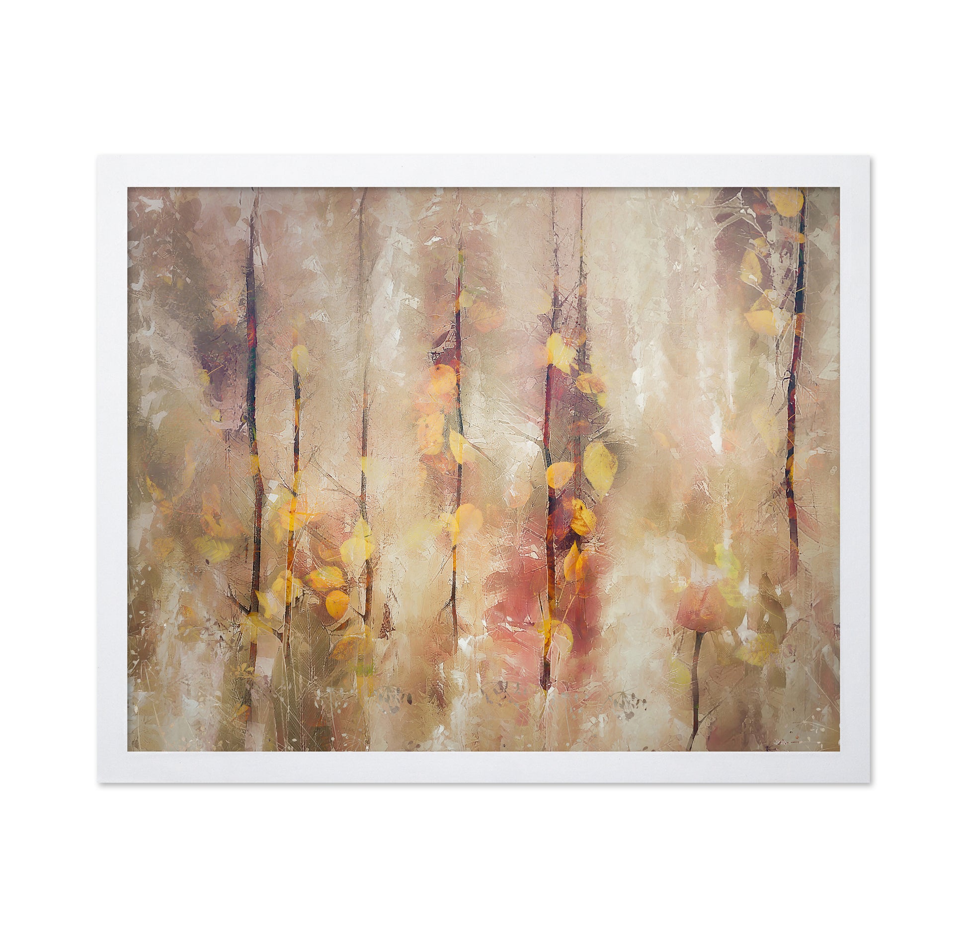 Autumn Dream Forest