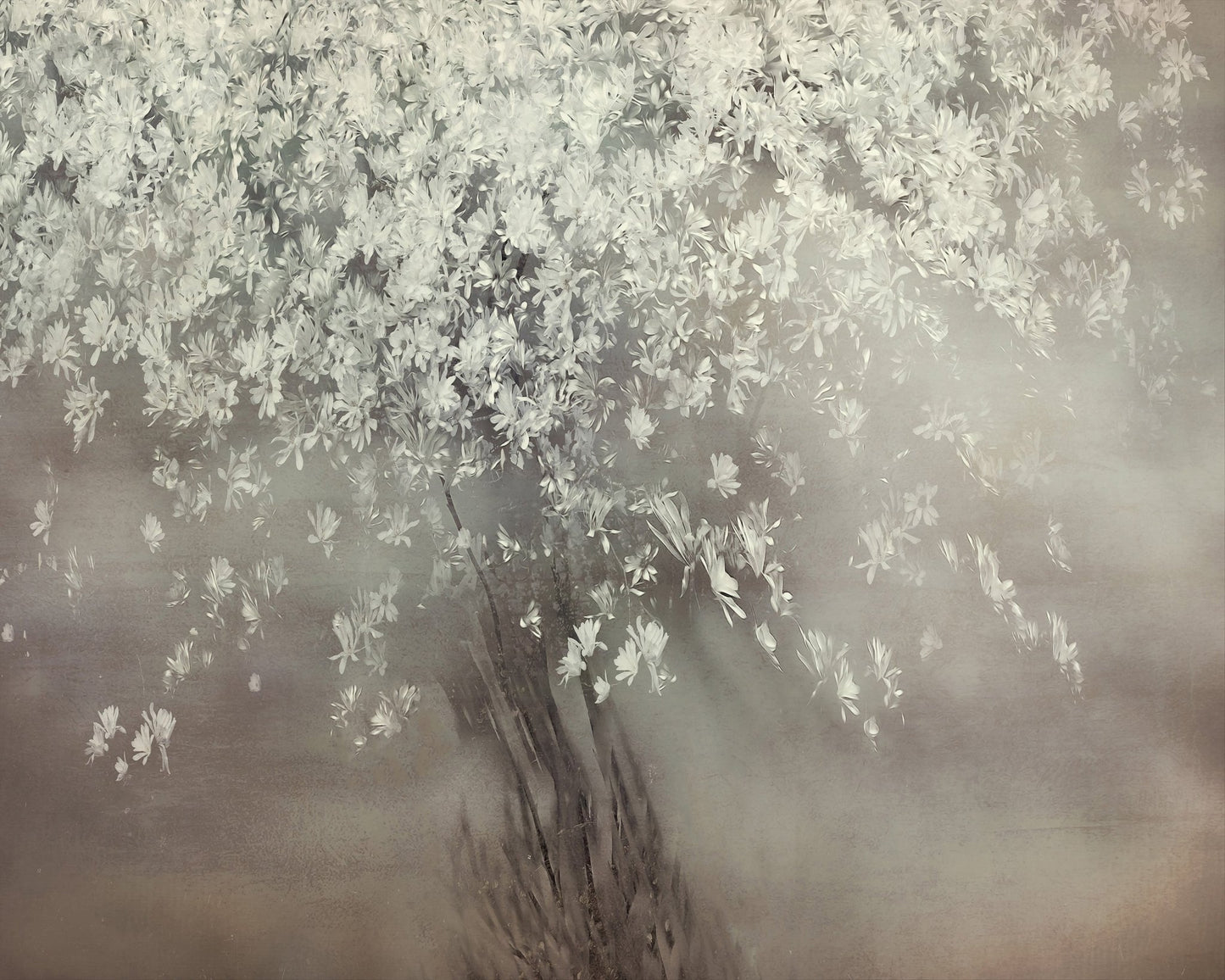 Spring Blossom Tree