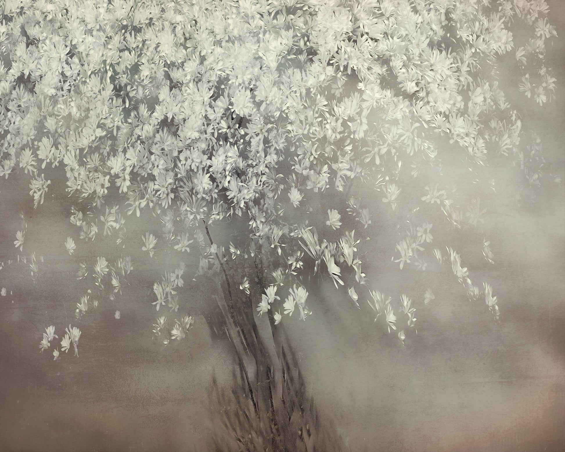 Spring Blossom Tree