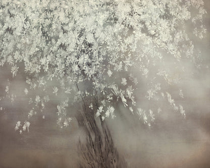 Spring Blossom Tree