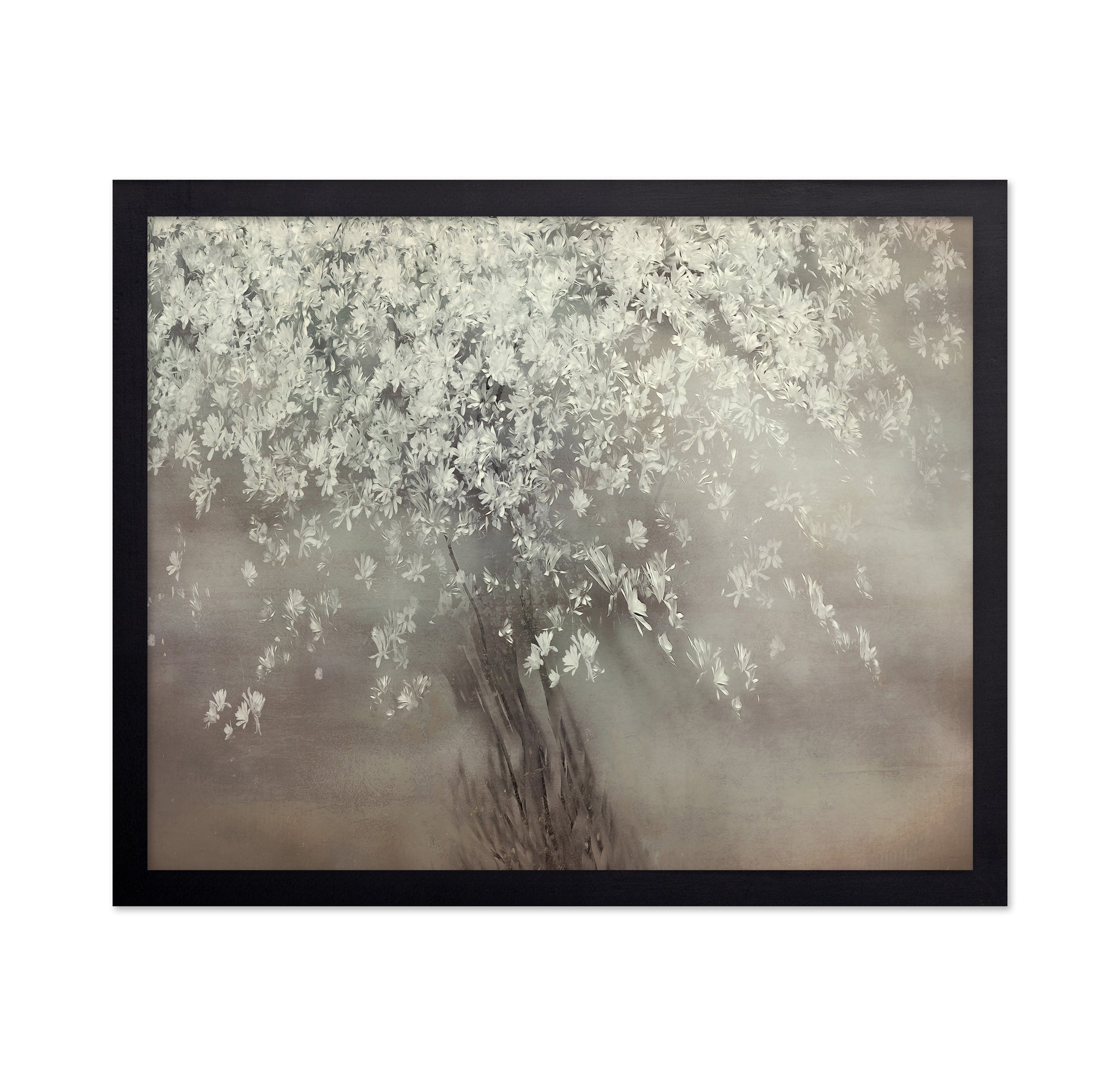 Spring Blossom Tree
