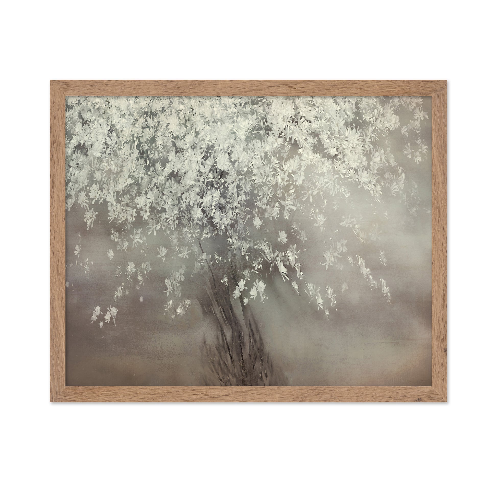 Spring Blossom Tree