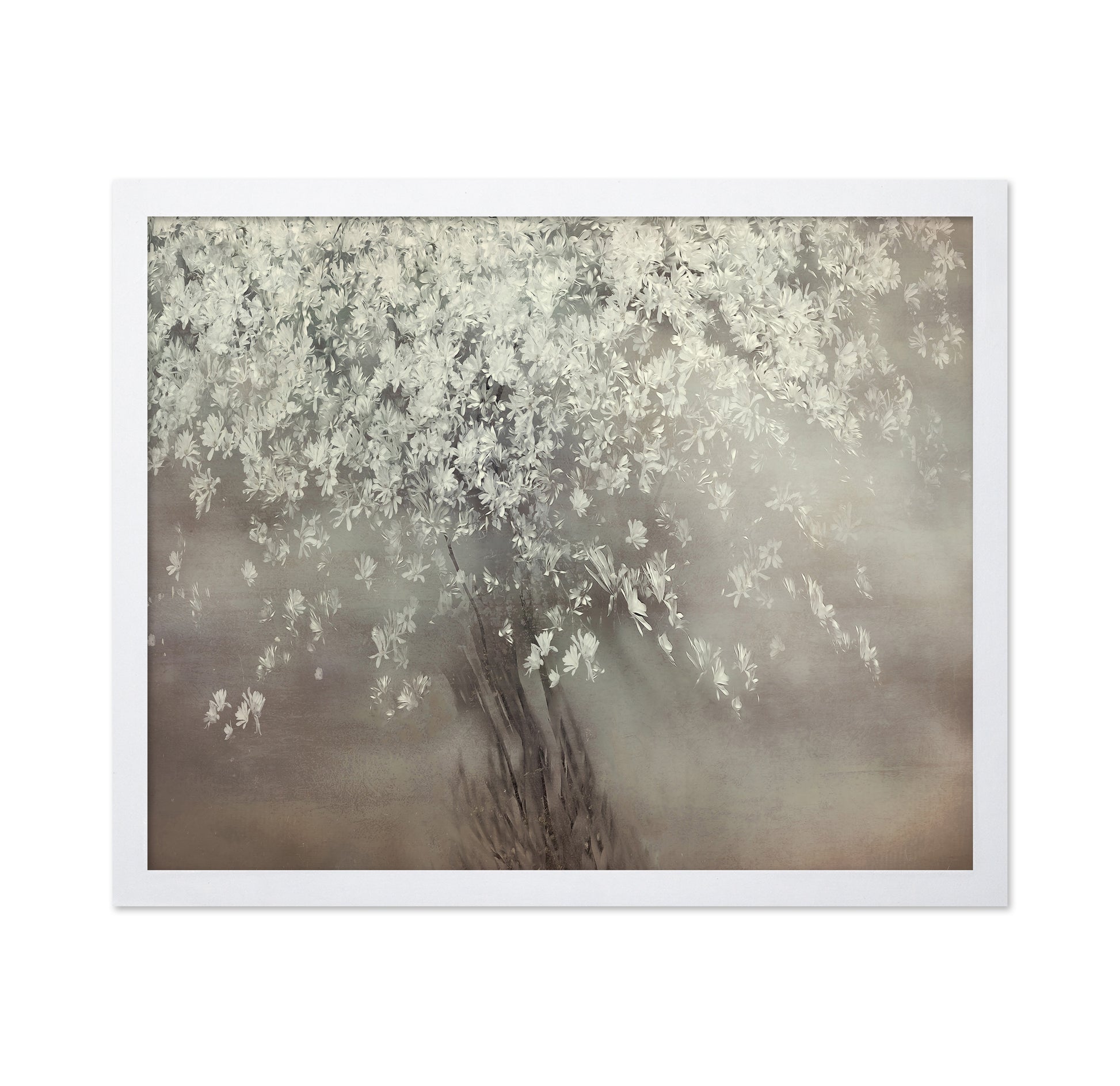 Spring Blossom Tree
