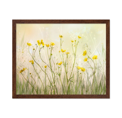 Morning Buttercup Field