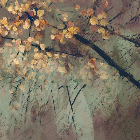 Autumn Whisper Branches