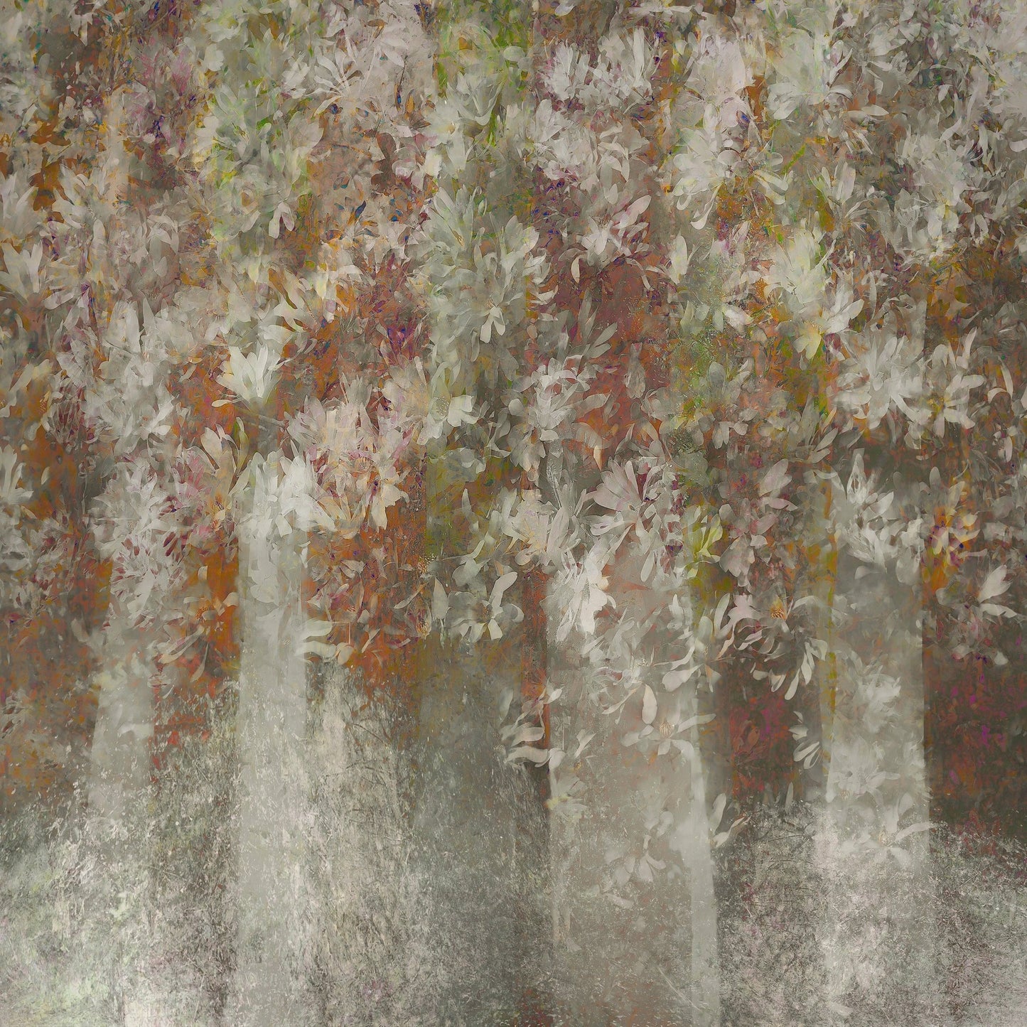 Soft Magnolia Canopy