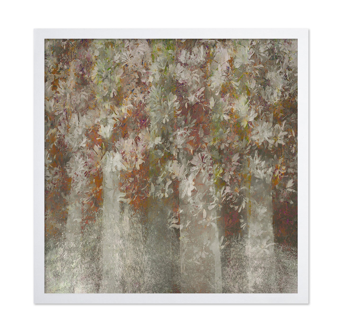 Soft Magnolia Canopy