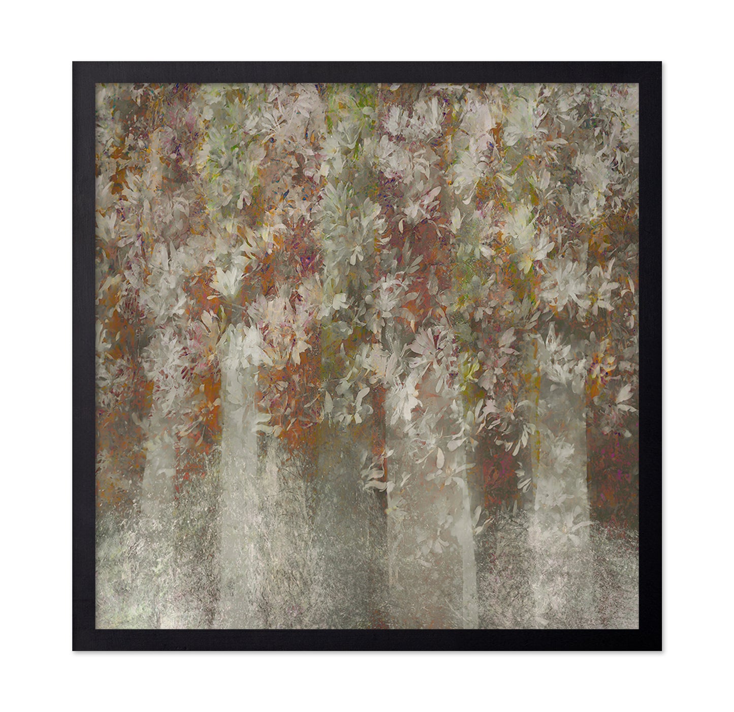 Soft Magnolia Canopy