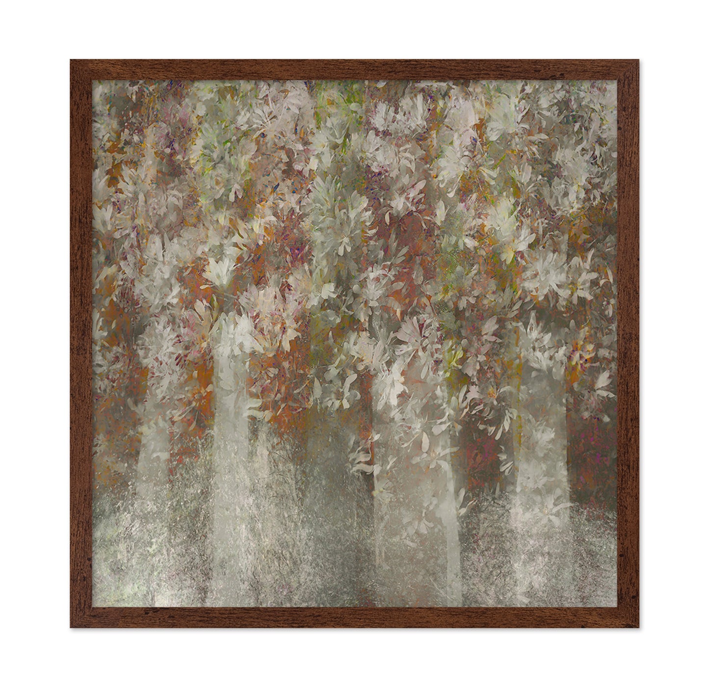 Soft Magnolia Canopy