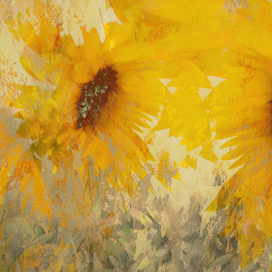 Golden Sunflower Bloom