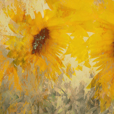 Golden Sunflower Bloom