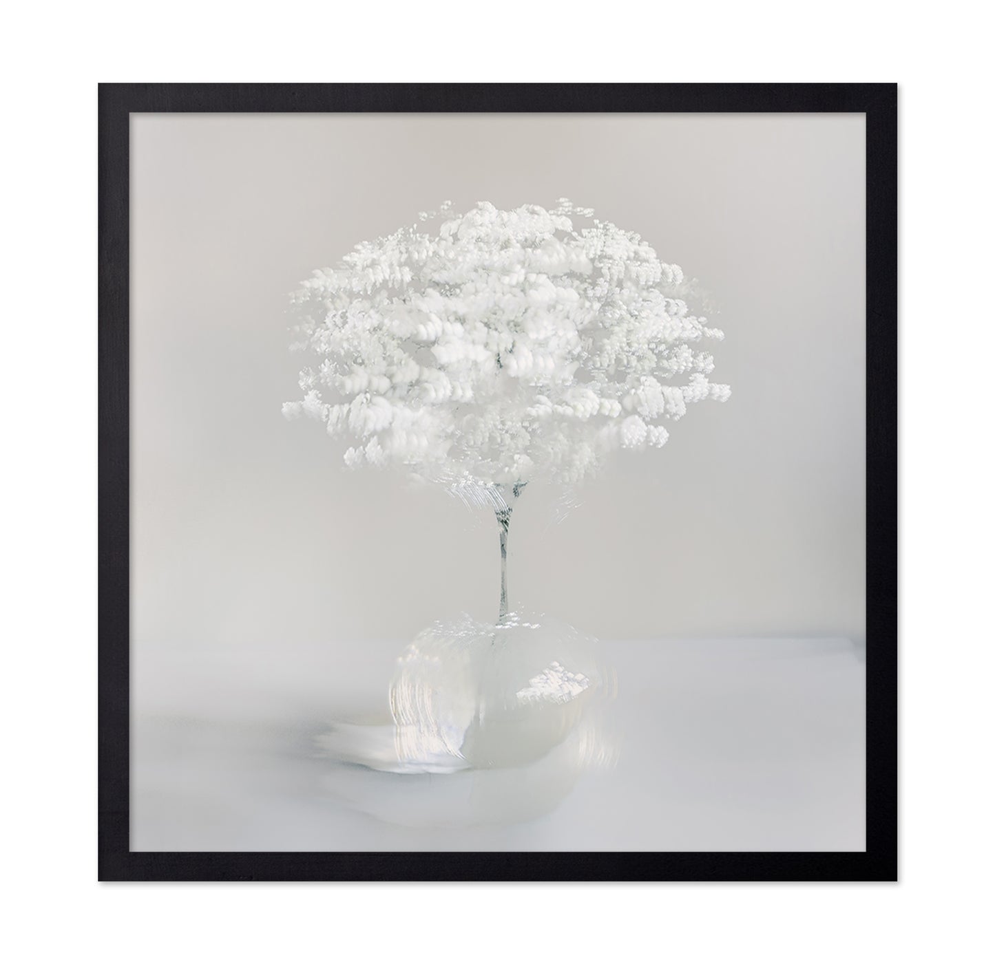Pure White Bloom