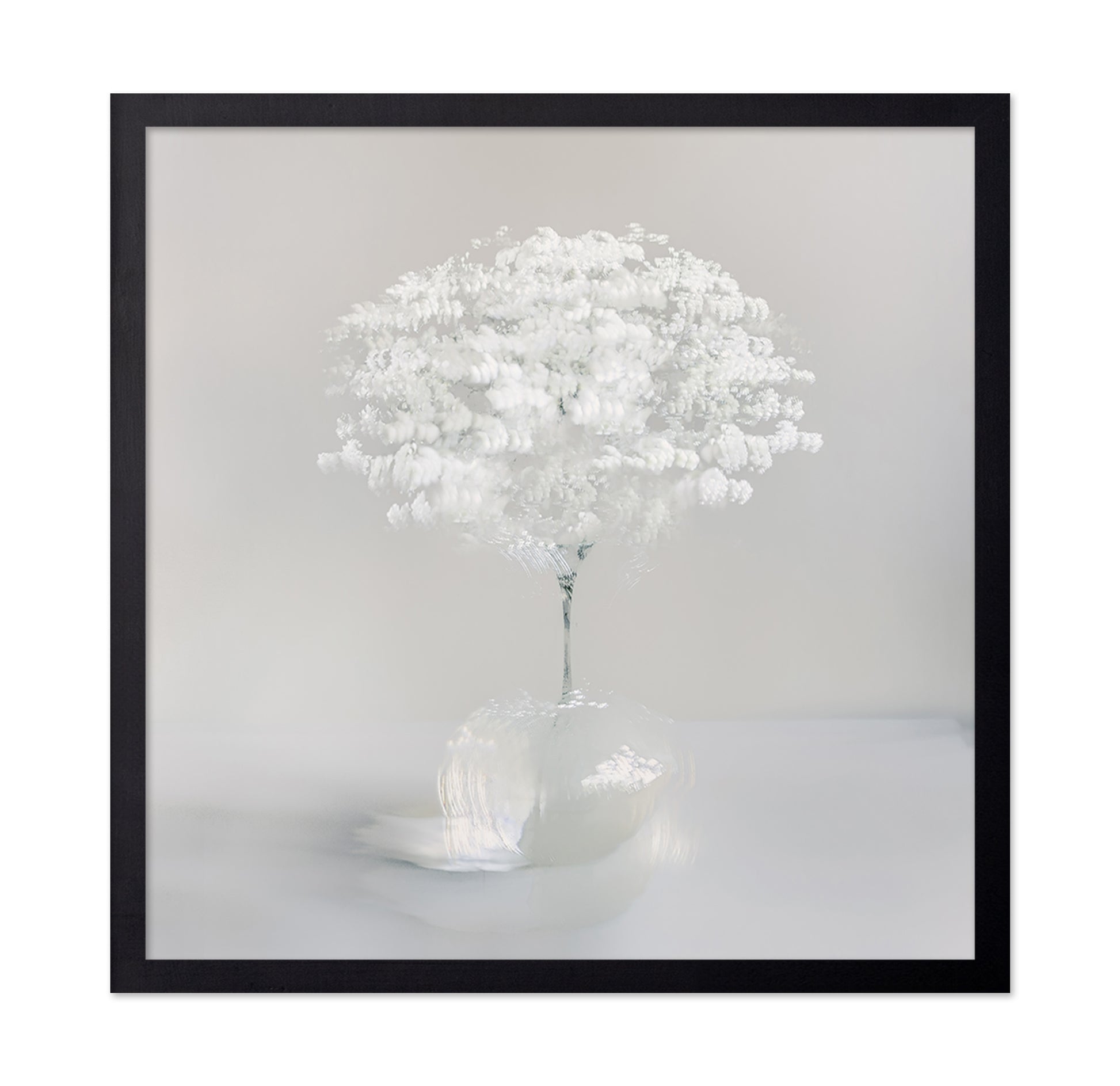 Pure White Bloom