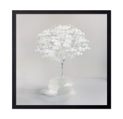 Pure White Bloom