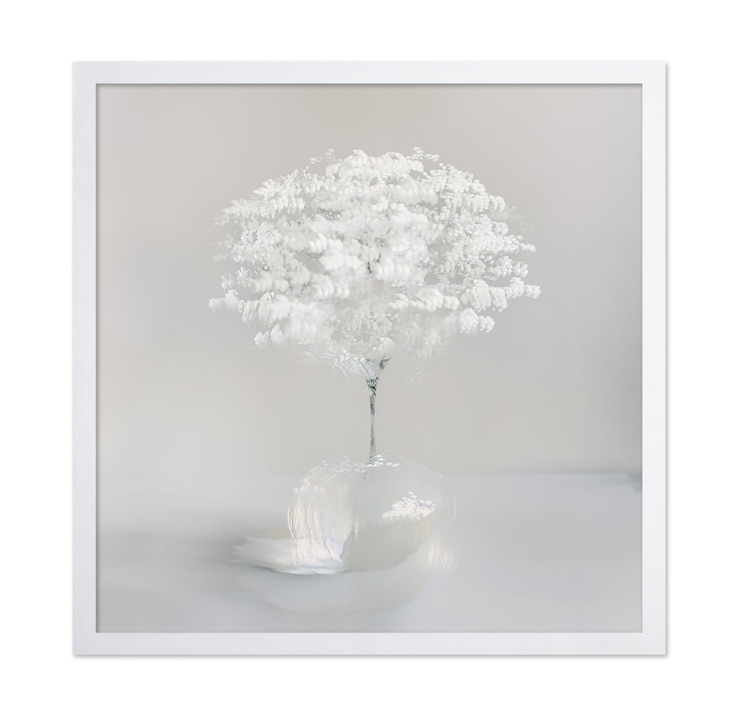 Pure White Bloom
