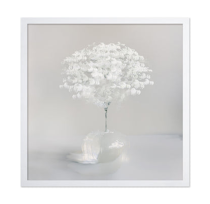 Pure White Bloom