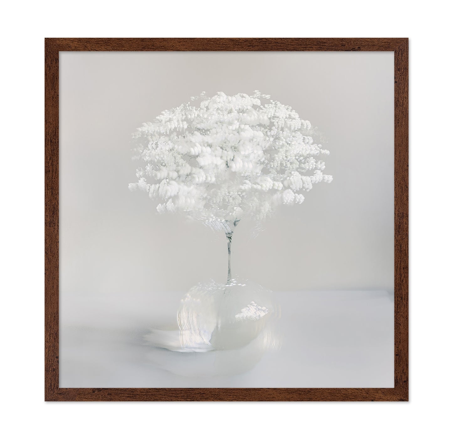 Pure White Bloom