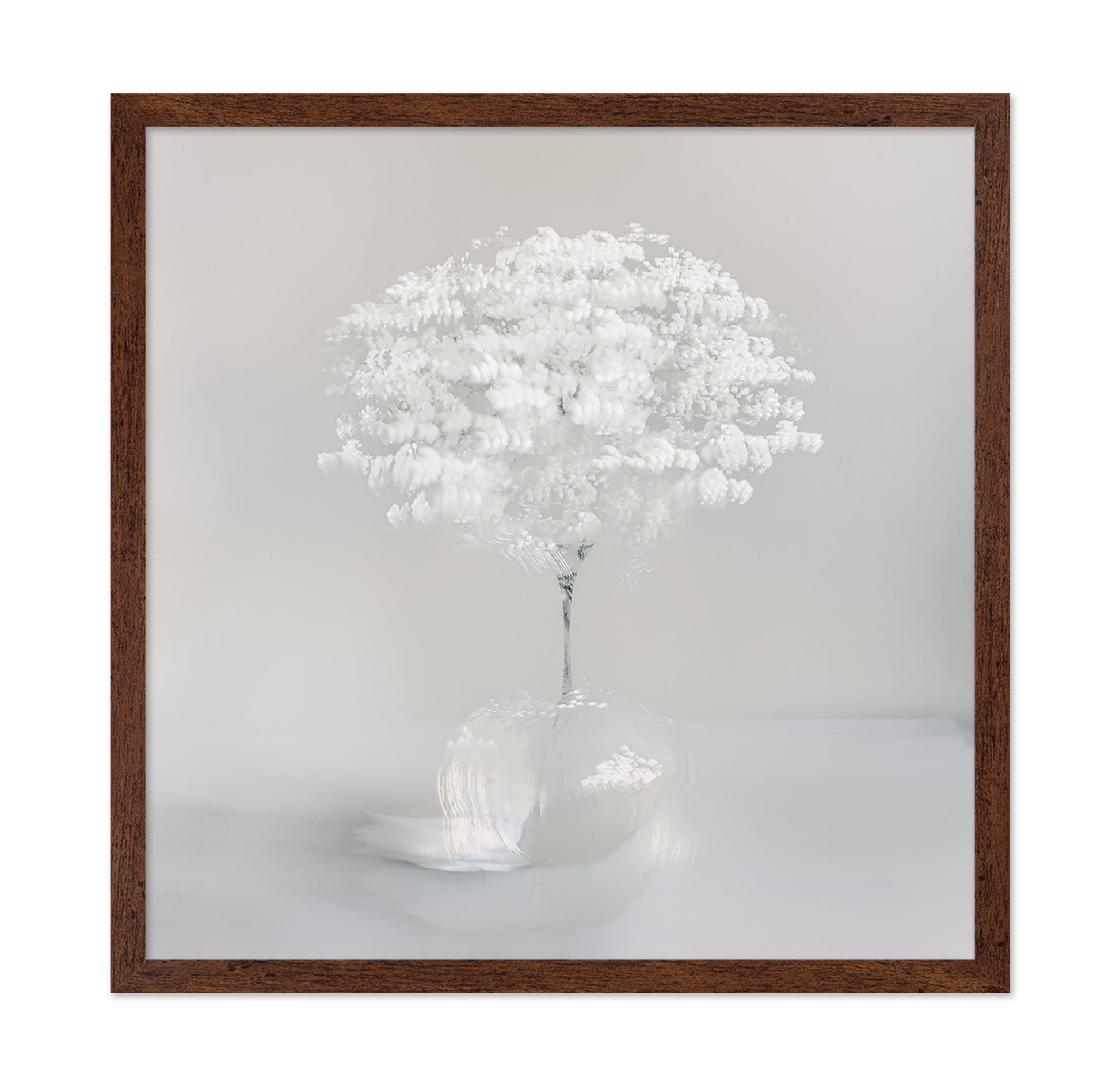 Pure White Bloom