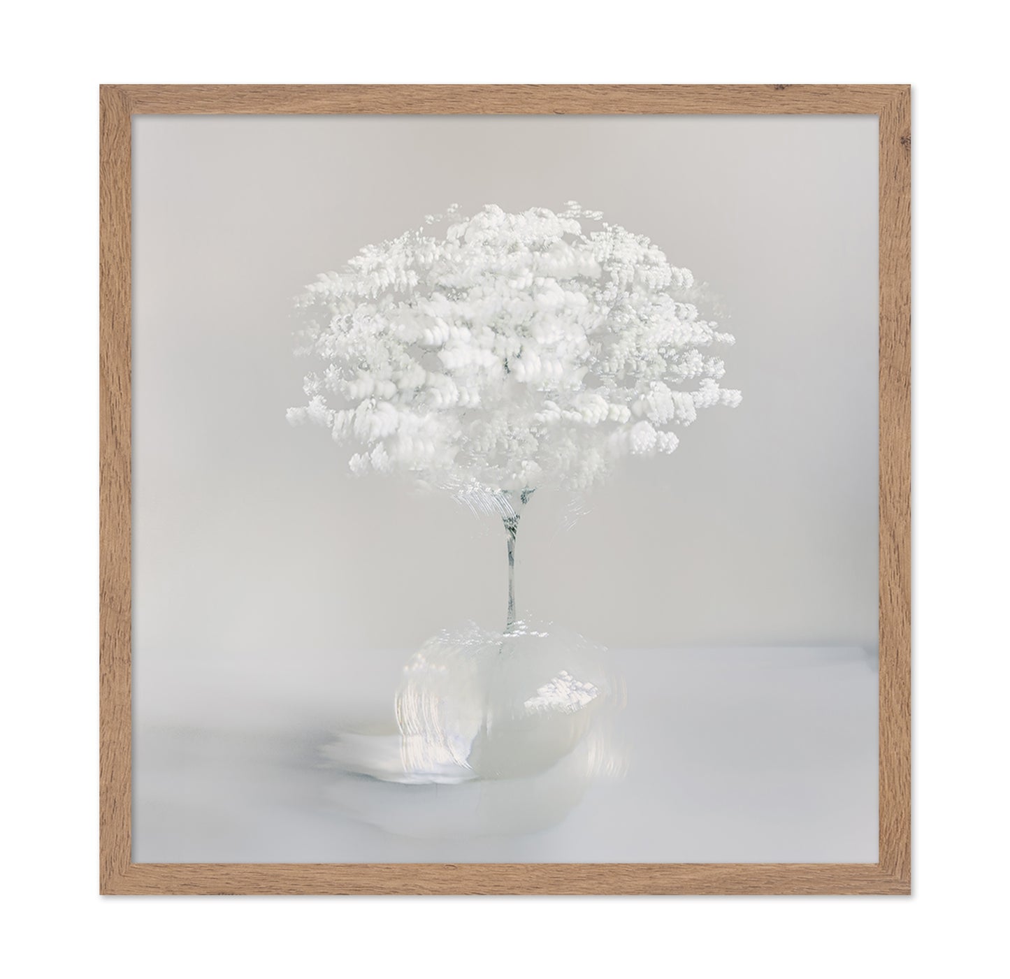 Pure White Bloom