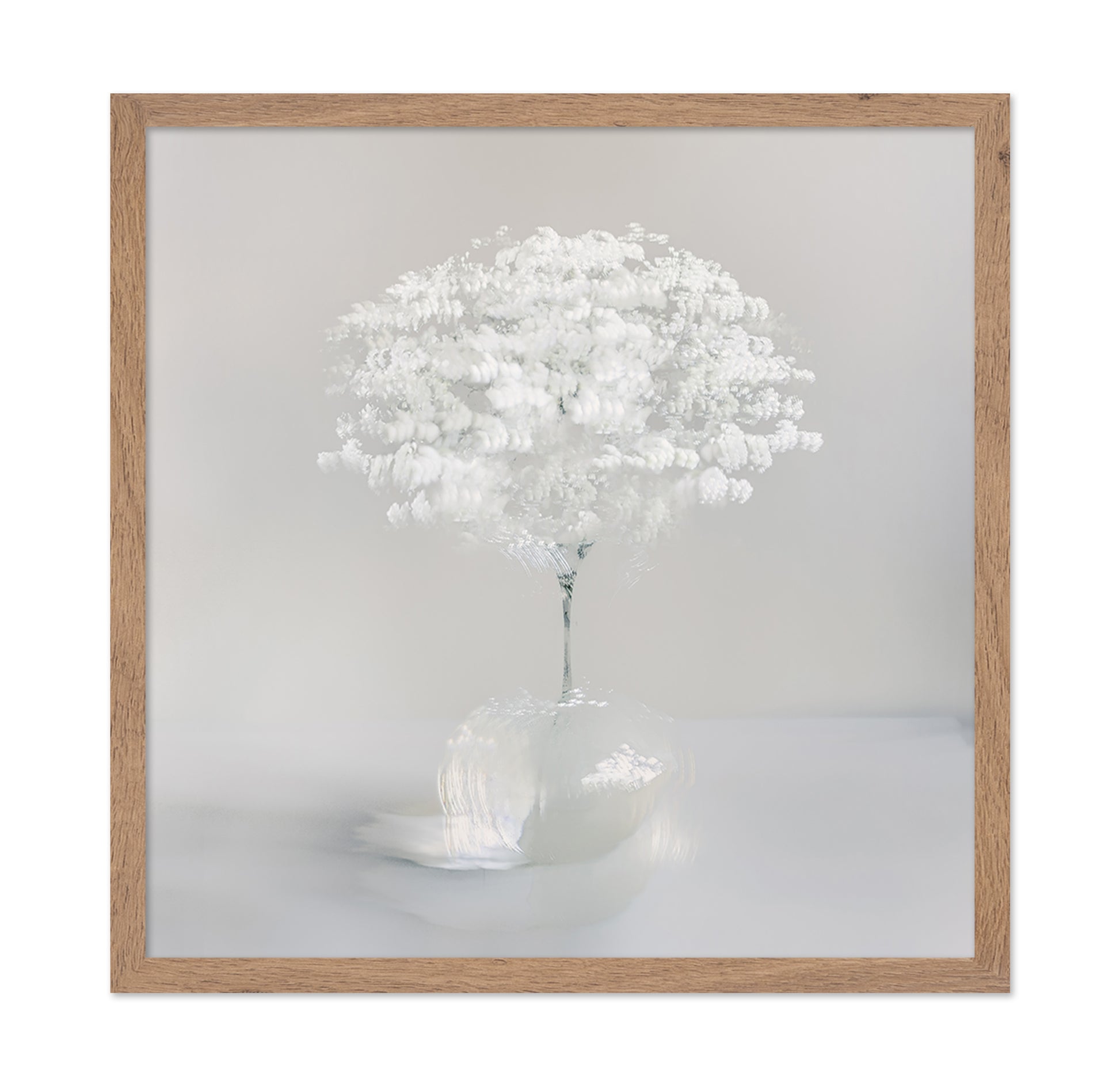 Pure White Bloom
