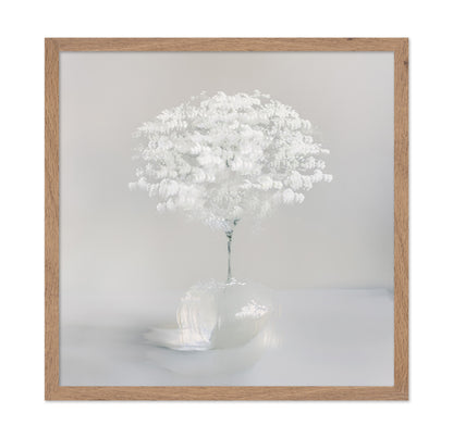 Pure White Bloom