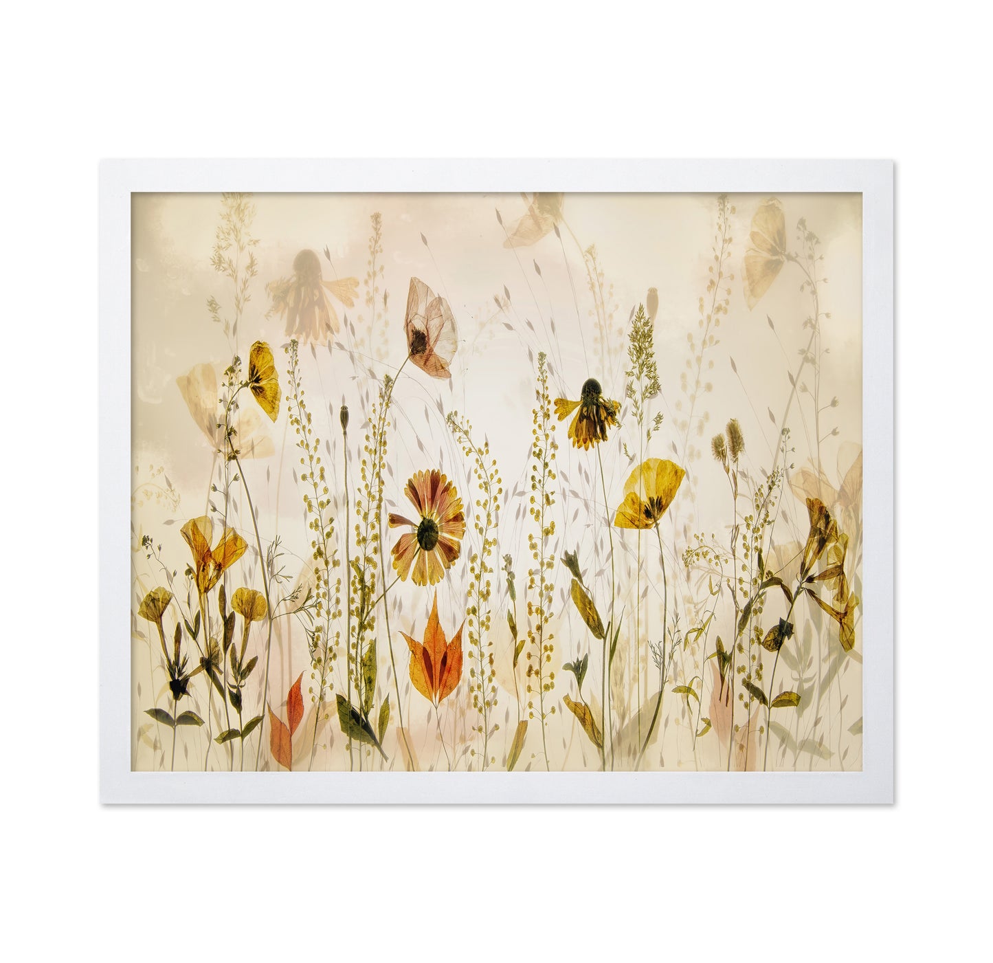 Wild Meadow Blooms