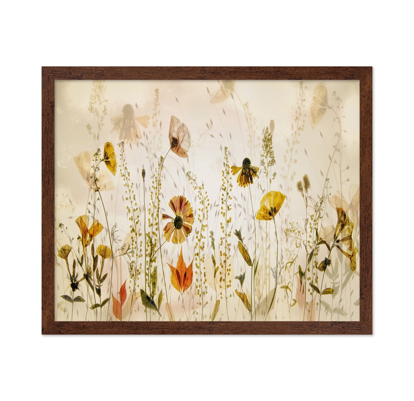 Wild Meadow Blooms