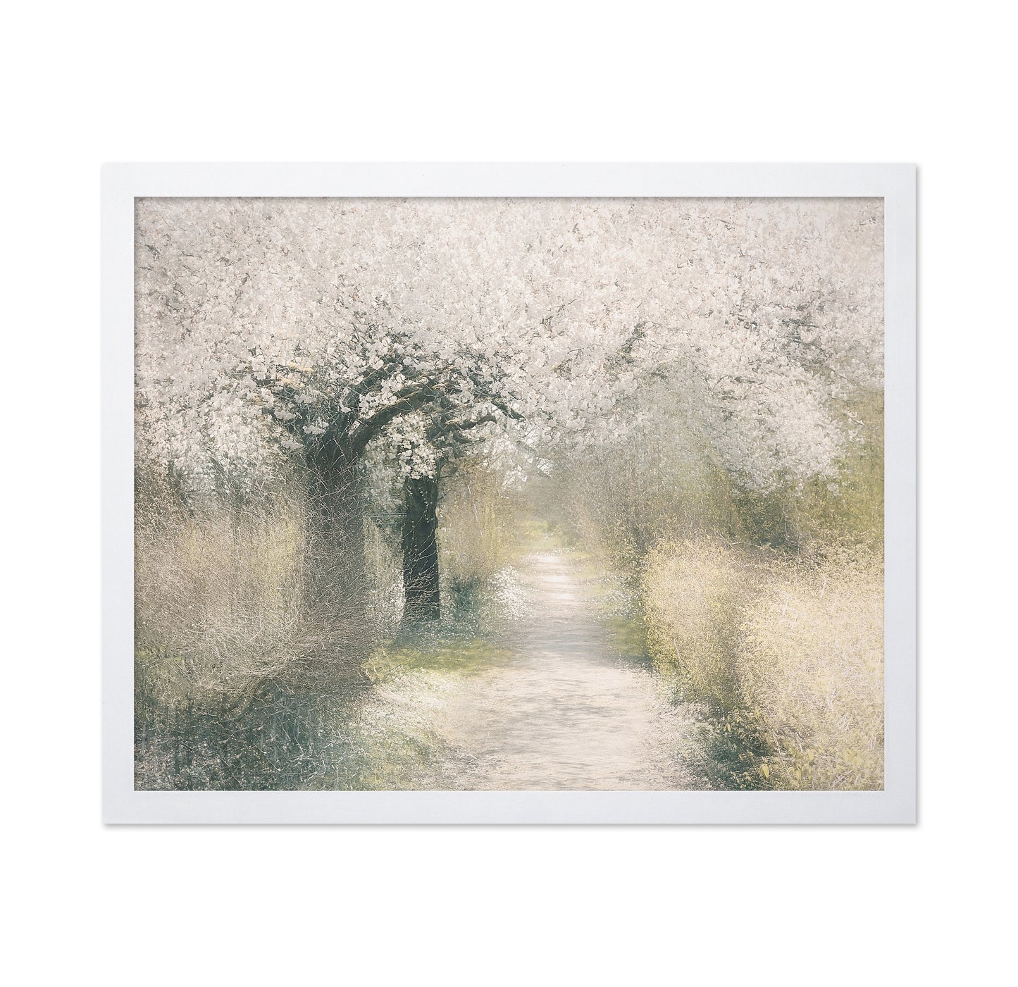 Blossom Pathway
