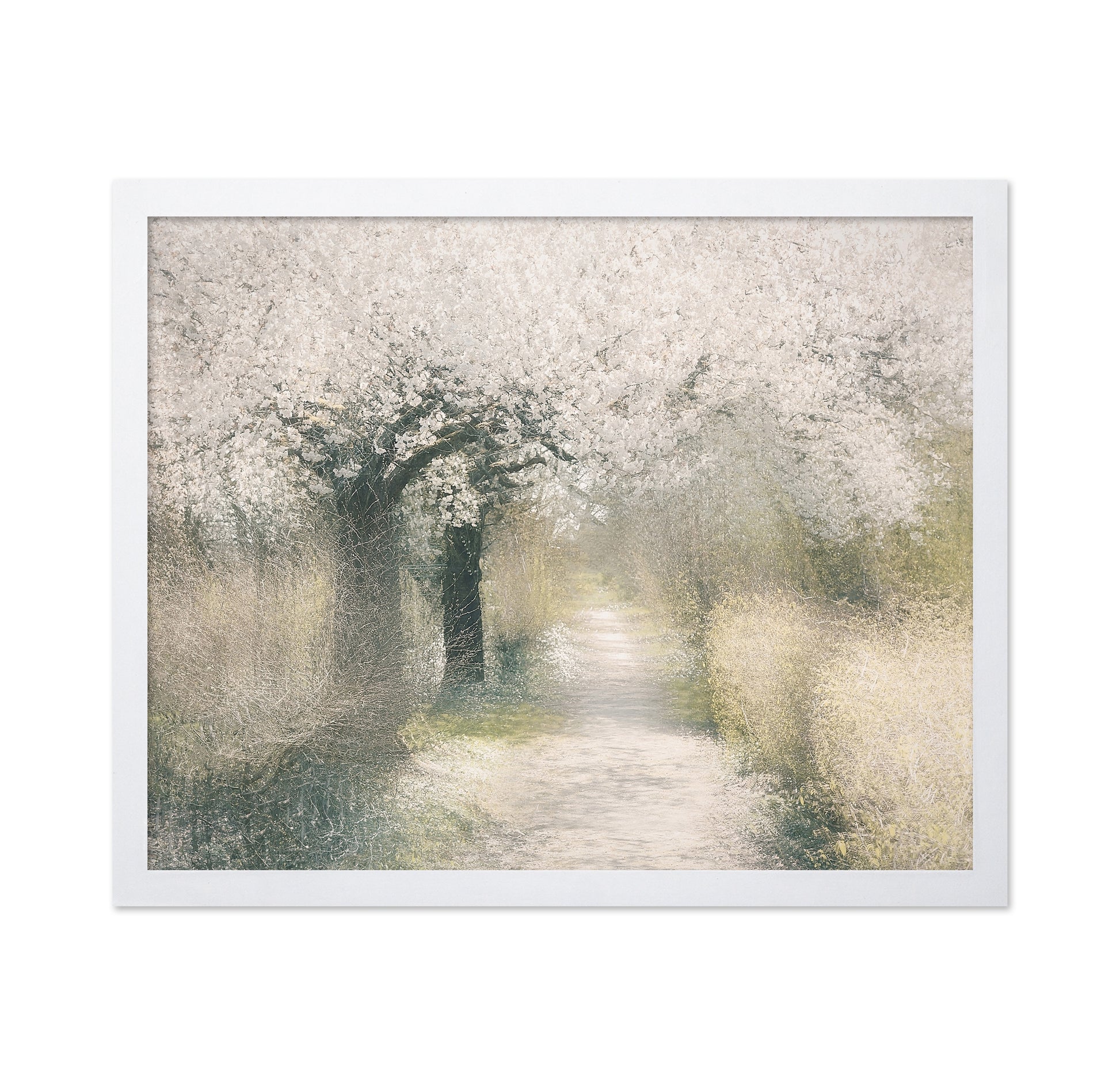 Blossom Pathway