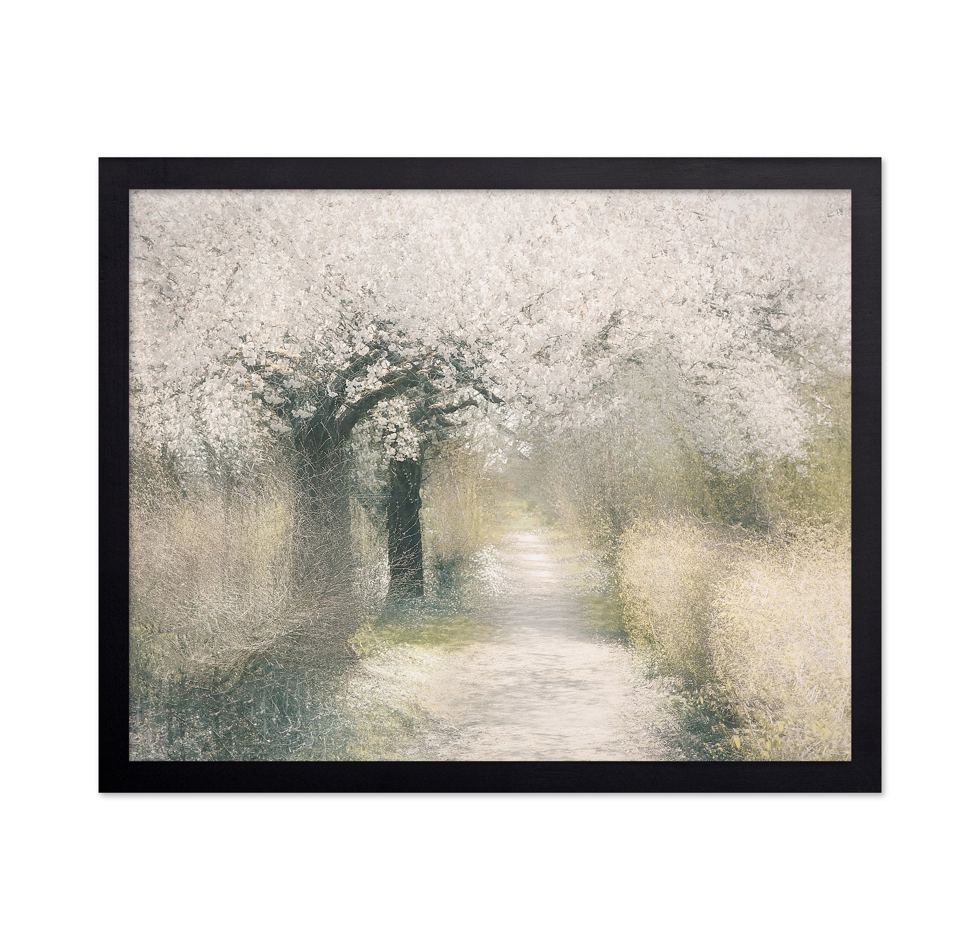Blossom Pathway