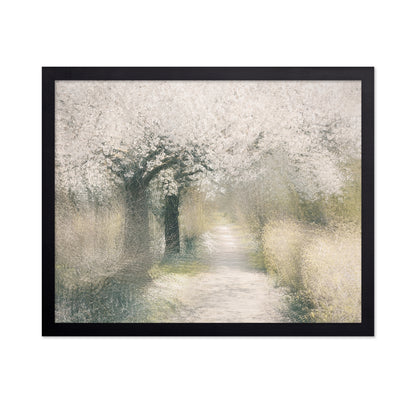 Blossom Pathway