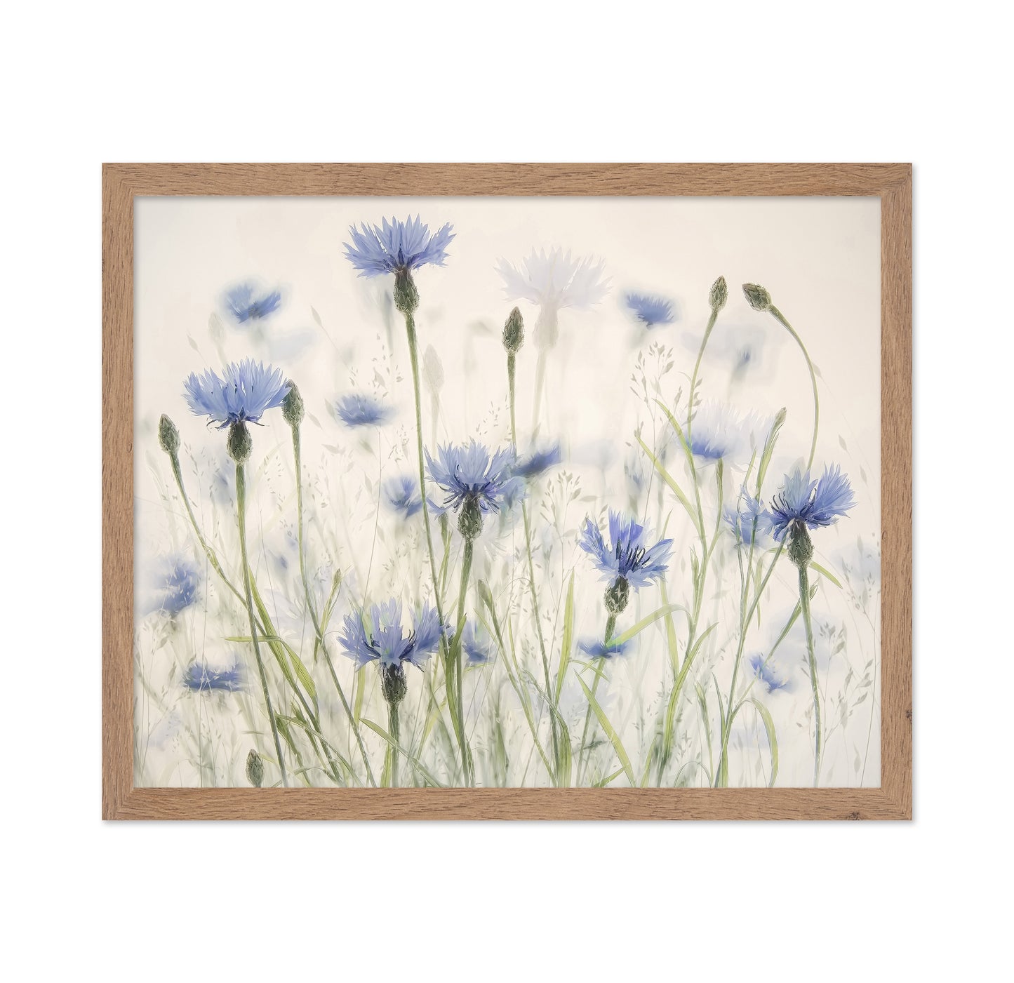 Blue Cornflower Field