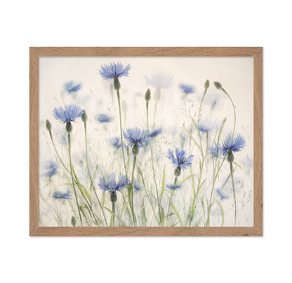 Blue Cornflower Field