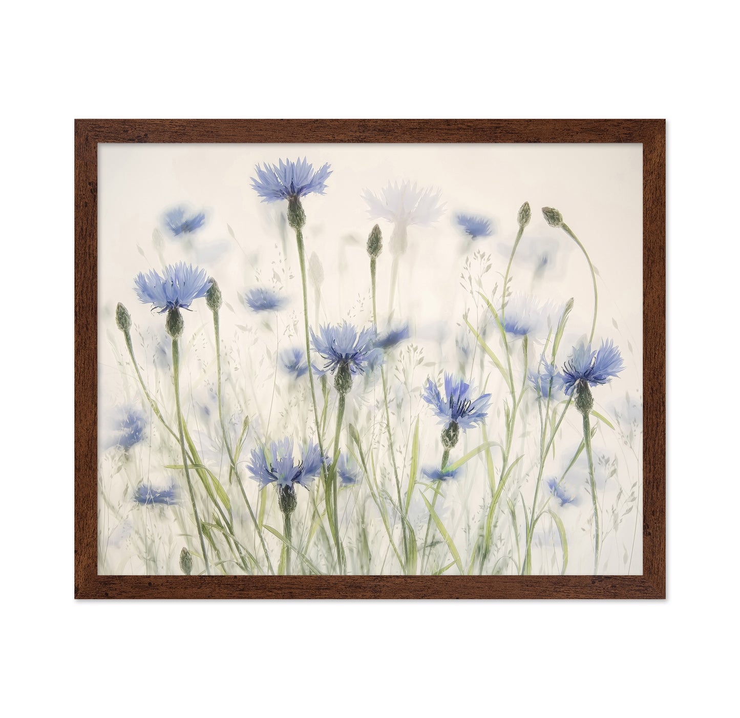Blue Cornflower Field