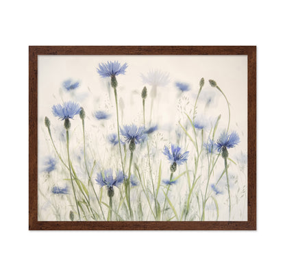 Blue Cornflower Field