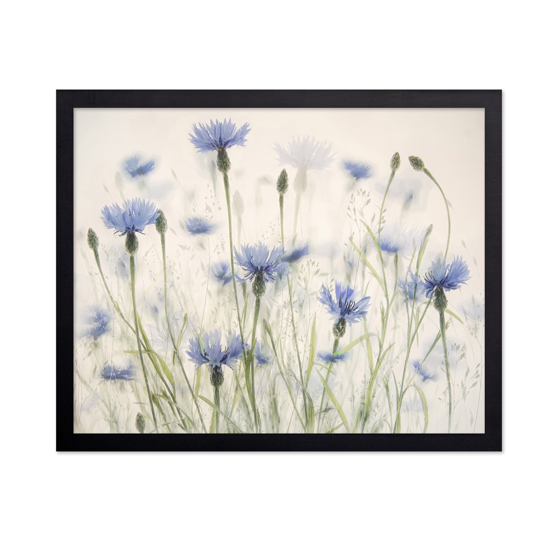 Blue Cornflower Field