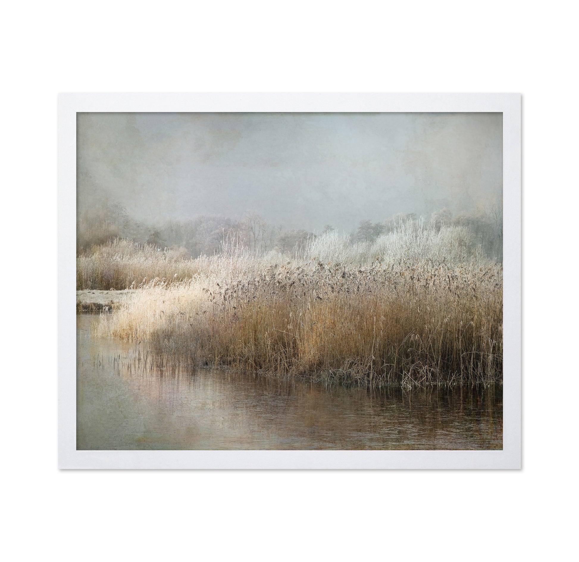 Frosted Winter Marsh