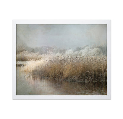 Frosted Winter Marsh