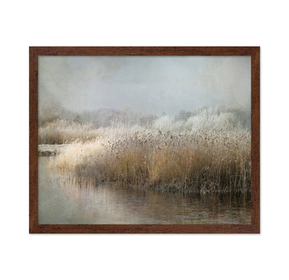 Frosted Winter Marsh