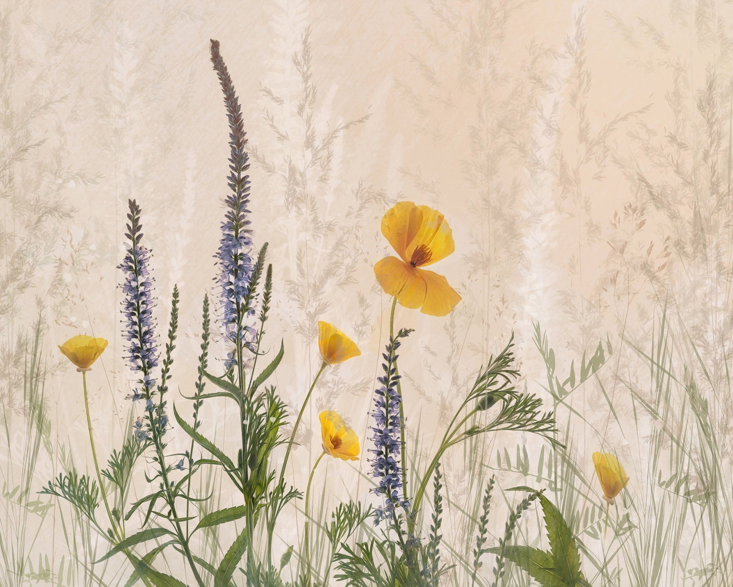 Wildflower Dreamscape