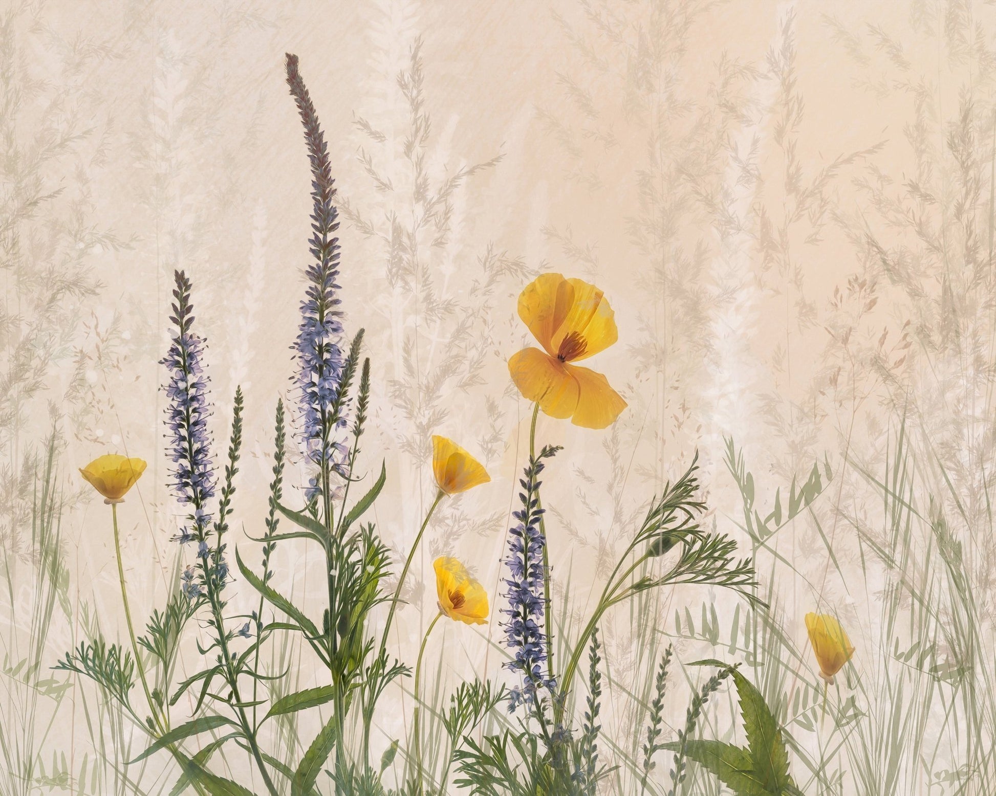 Wildflower Dreamscape